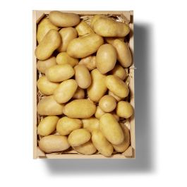 Schweizer Kartoffeln 2.5 kg Lidl Schweiz