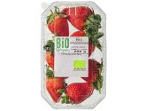 BIO Erdbeeren 250g