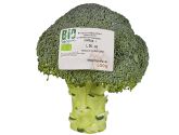 Bio Broccoli 500g