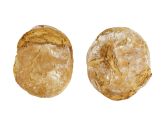 Le pain au levain épeautre