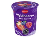 Schweizer Joghurt Waldfrucht