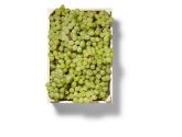 Raisins Prime 400g