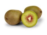 Kiwi rot