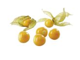 Physalis 100g