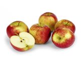 Äpfel rot 1kg