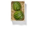 Bio Baby Wassermelone