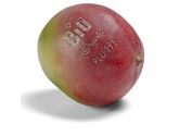 Bio Mango