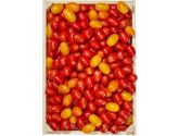 Schweizer Mini Tomaten mix