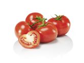 Tomates en grappe