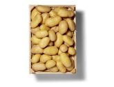 Pommes de terre essentiellment