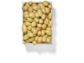Schweizer Kartoffeln 2.5 kg