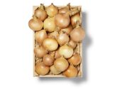 Oignons légumes jaunes suisses