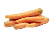 Carote bio svizzere 1kg