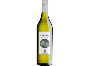 Chasselas Vaudoise Bio in Umstellung
