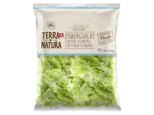 Eisbergsalat