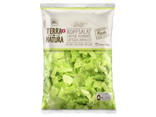 Kopfsalat Terra Natura
