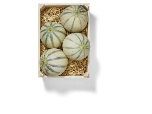 Cantaloupmelone