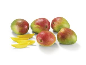 Mangue