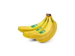 Fairtrade Bio Bananen