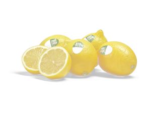Bio Zitronen 750g