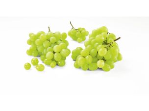 Bio Trauben hell kernlos 500g