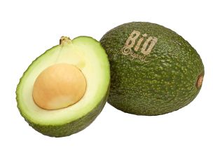 Avocat bio
