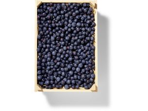 Bio Heidelbeeren