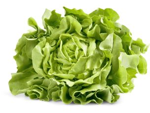 Schweizer Kopfsalat