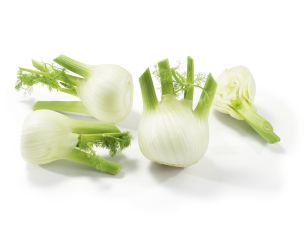 Fenouil suisses