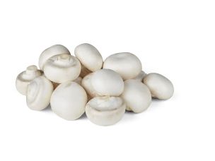 Champignons suisses