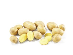 Pommes de terre nouvelles