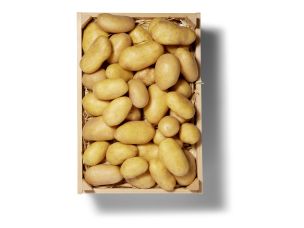 Schweizer Kartoffeln 2.5 kg