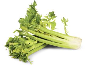 Céleri bio suisse 500g